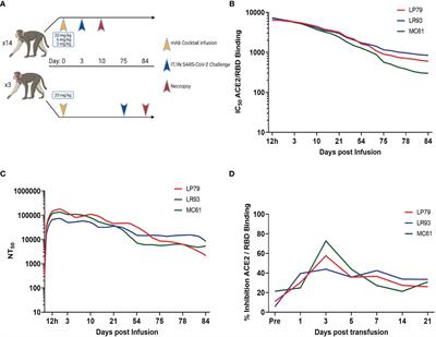 Effective Prophylaxis of COVID-19 in Rhesus Macaques Using a Combination of Two Parenterally-Administered SARS-CoV-2 Neutralizing Antibodies